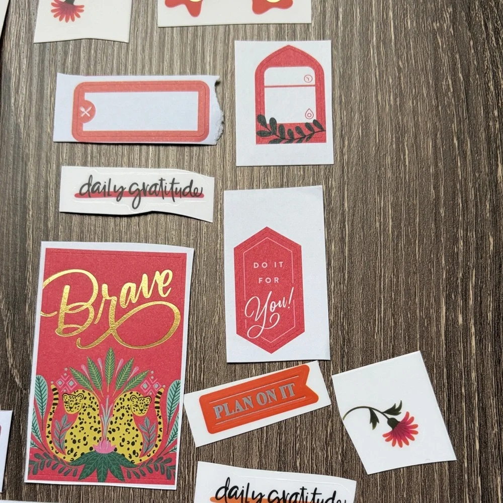 ❤️$3 Wild Red and Pink Hues Not So Mystery Happy Planner Sticker Set